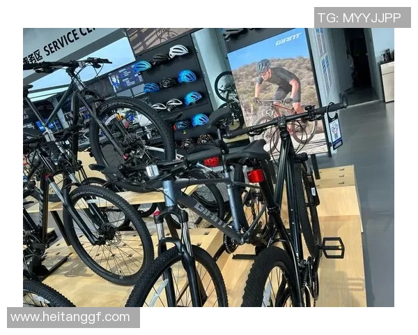 骑行新时代：探索自行车在现代城市中的多重功能与发展趋势